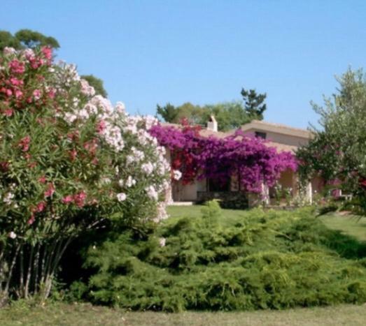 Holiday home Visit San Teodoro San Teodoro (Sardinia)